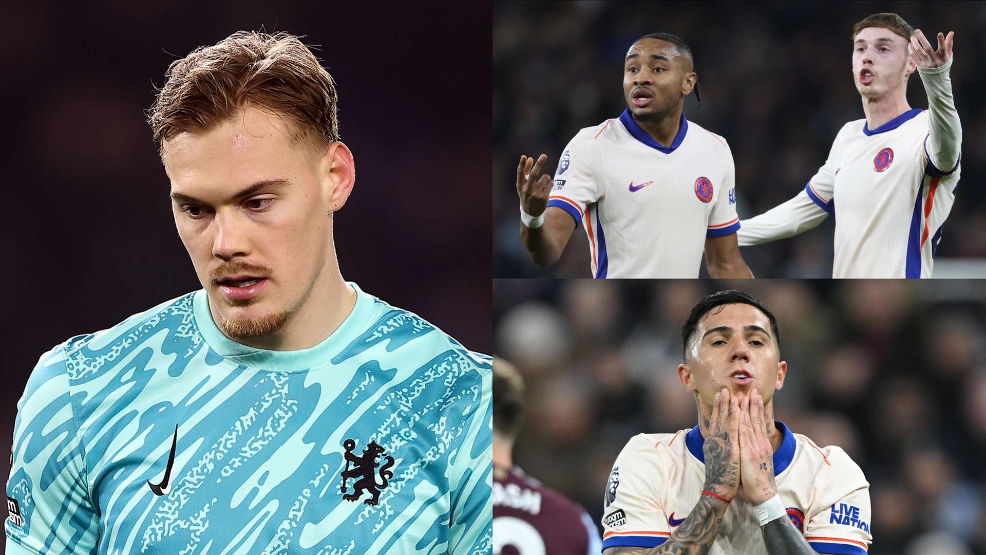 在不断进化 在不断进化