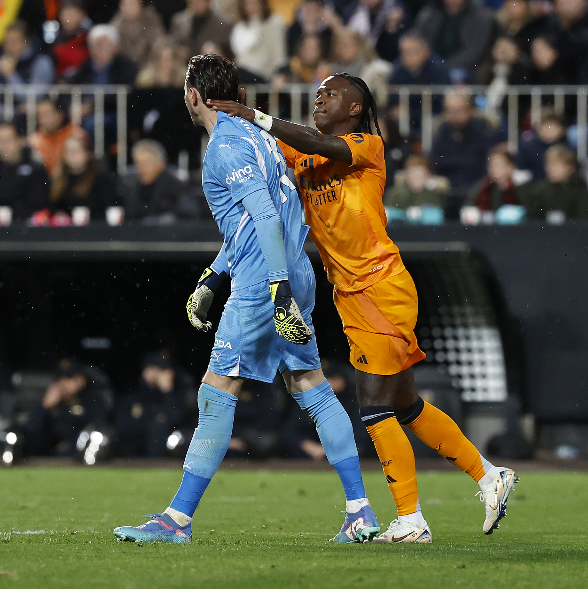 当整个看台 当整个看台