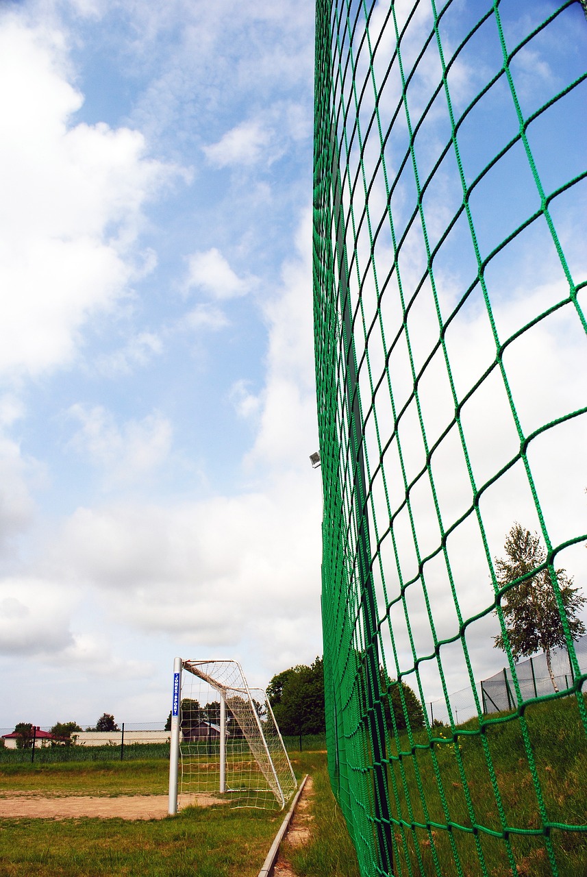 所提到的 所提到的